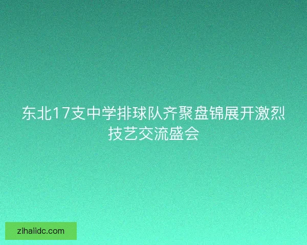 东北17支中学排球队齐聚盘锦展开激烈技艺交流盛会