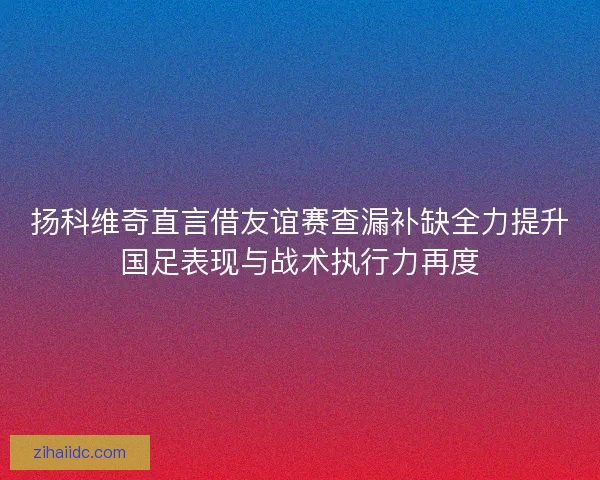扬科维奇直言借友谊赛查漏补缺全力提升国足表现与战术执行力再度
